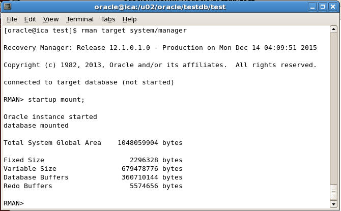 Start and Mount database using RMAN